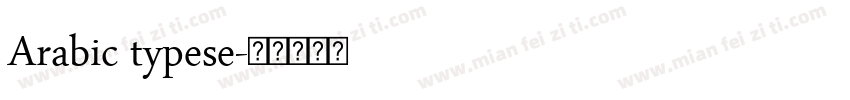 Arabic typese字体转换